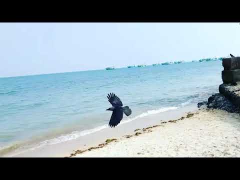 Rameshvarm temple Beach