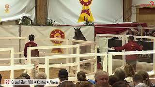 Video von Grosseto 5