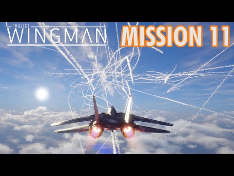 Project Wingman Playthrough | Mission 11: Cold War