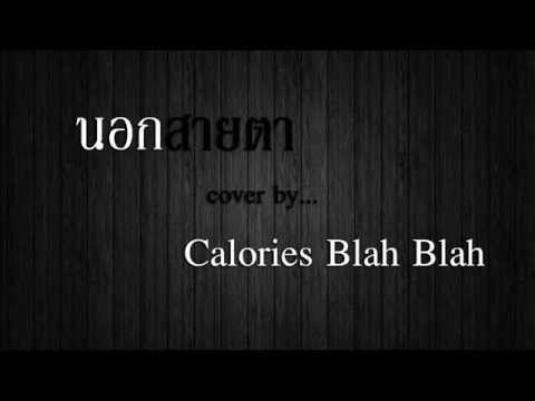 นอกสายตา - Cover by. Calories blah blah