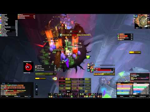 Heroic Ji-Kun 25 Man - Feral PoV