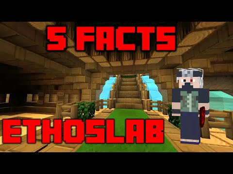 Five Facts - EthosLab
