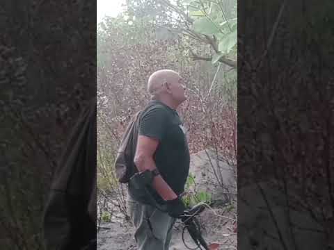 DETECTORISMO NO CANTO DOS CUPINS MONSENHOR GIL PIAUI