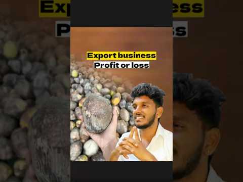 Coconut Export full process 🔥 #coconut #export #business #exportbusiness #shorts