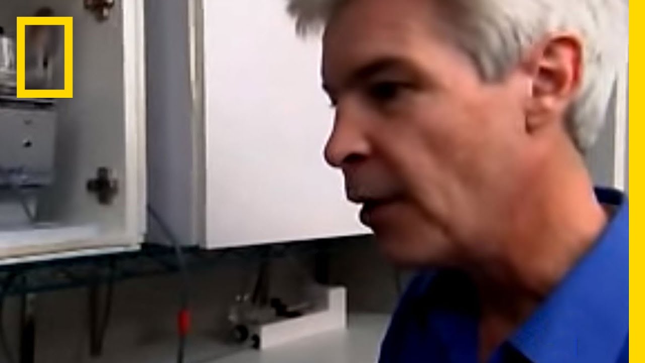 The World’s Most Dangerous Drug (Meth)