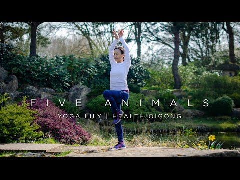 Five Animals Frolics Qigong (follow me) | Wu Xin Qi | 五禽戏