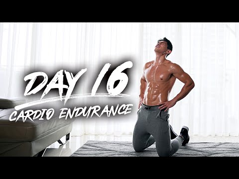 Day 16 - Cardio Endurance!