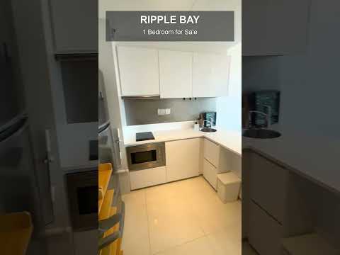 Ripple Bay, 6 Pasir Ris Link, 1 Bedroom, 484 sqft, Condominium For Sale, by John Tan 奕欣, 500241167 - PropertyGuru.com.sg