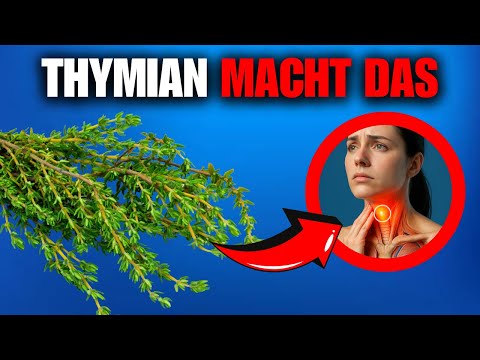 WUSSTEST DU DAS ÜBER THYMIAN? DIESE PFLANZE IST PURE MAGIE FÜR DEN KÖRPER