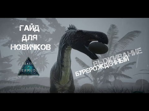 Beasts of Bermuda | Для новичков #1