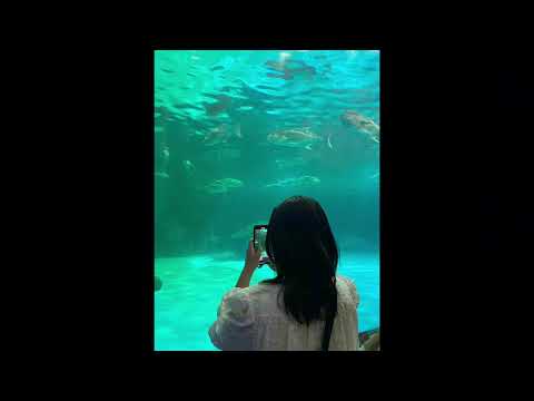 รู้มือ (Cover by.Lil Jp)