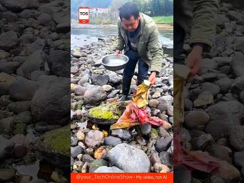 WILD SKILL catching fish by hand 🐟🪨💦#shorts #skills #survival #fishing #satisfying