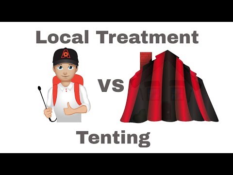 download lagu mp3 mp4 Alternatives To Tenting A House For Termites, download lagu Alternatives To Tenting A House For Termites gratis, unduh video klip Alternatives To Tenting A House For Termites