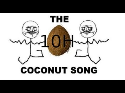The Coconut Song 10h