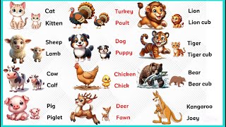 Part 3 Most Popular Animals in the World | Animals Name | Animal and their baby names…