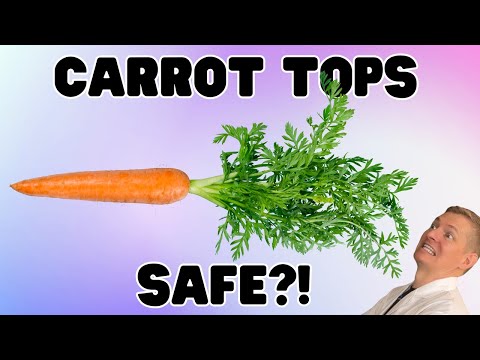 Can You Eat Carrot Tops? Food Safety Dad