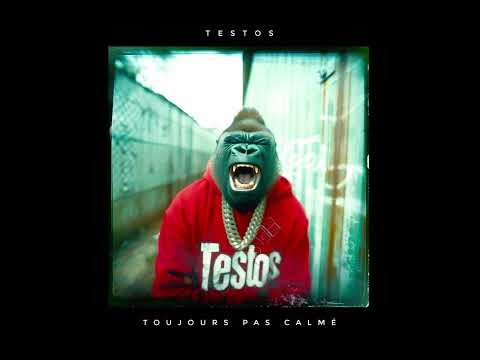 Testos   Toujours pas calmé   Daredevil feat. Axis et Cyanure
