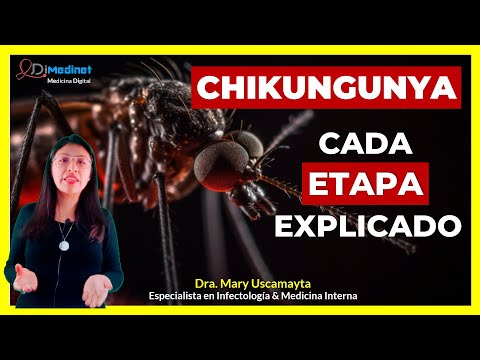 🟢 CHIKUNGUNYA: LA ENFERMEDAD QUE TE RETUERCE EN TRES FASES 🦟