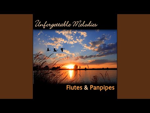 The Sound Of Silence