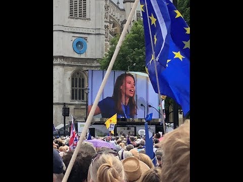 Pulse of Europe at People's Vote March