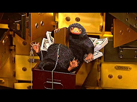 The Niffler Attracted to Shiny Things - Fantastic Beasts and Where to Find Them (2016) Movie CLIP HD