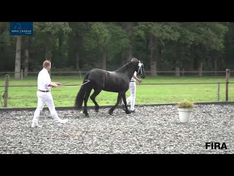 Locatiekeuring Stal Eppinga – Gaasterland 20-8-2020