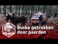 De PK's vliegen ons om de oren!