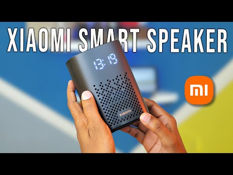 Xiaomi Smart Speaker with IR Control Review in English