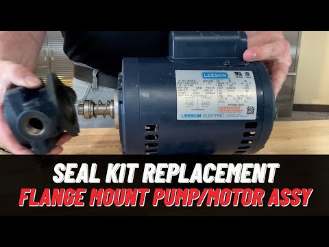 Flange Mount Pump and Motor Seal Kit Replacement - Henny Penny Fryers