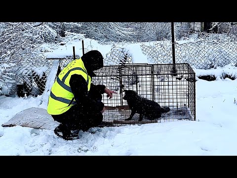 She thought we had forgotten her, but we promised to come back | Dog Rescue Shelter