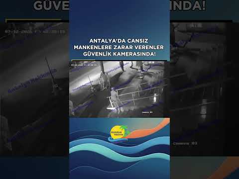 Antalya'da cansız mankenlere zarar verenler güvenlik kamerasında!