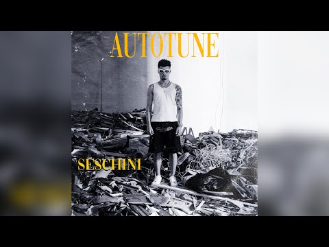 Seschini - Autotune