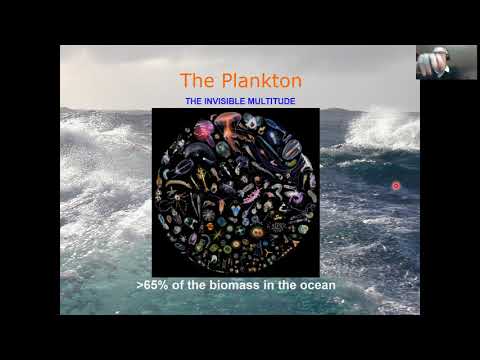 Tara Oceans: Eco-Systems Biology at Planetary Scale (Chris Bowler)