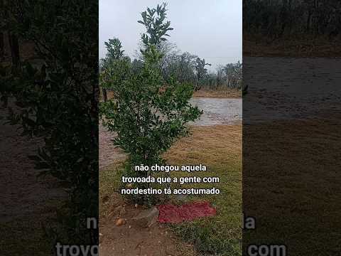 CHEGOU A HORA DE COMPARTILHAR CHUVA EM ITIÚBA NA BAHIA #registrodevida