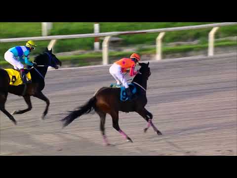 221009 c10 KANEMAN (BRZ)