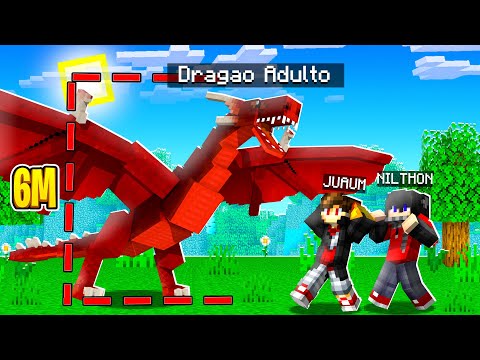 NOSSO DRAGÃO CRESCEU! - MINECRAFT MEDIEVAL 19