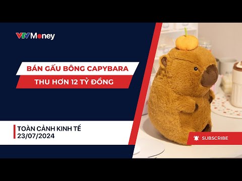 Kinh doanh theo trào lưu: Thu hơn 12 tỉ đồng nhờ bán gấu bông Capybara