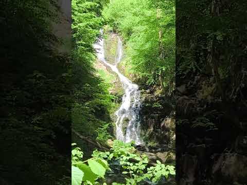 Cascada Săritoare♥️