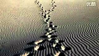 End of may - Keren Ann.flv