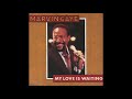 Marvin Gaye - My Love Is Waiting (7" Version)
