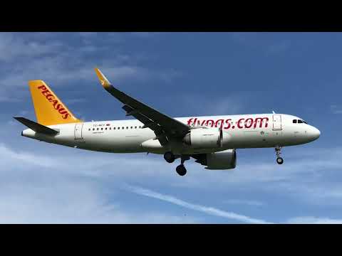 Pegasus Airlines Airbus A320 TC-NCY landing Bologna airport BLQ #pegasus #a320 #aviationlovers