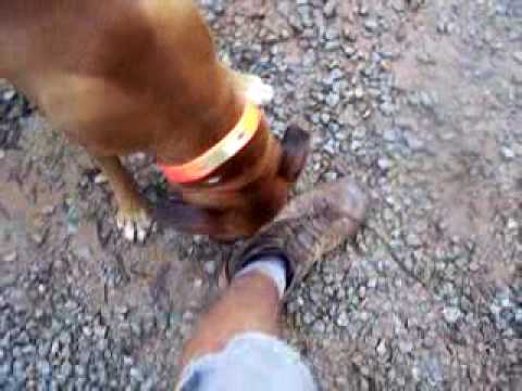 Look at them eyes!!!