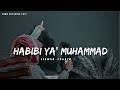 Habibi Ya Muhammad Slowed Reverb Beautiful Nasheed Naat L Lofi Version L Mind Relaxing Naat