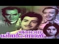 Full Malayalam Movie Annadha Shilpangal Prasad Sankaradi Sreelatha Namboothiri T R Omana