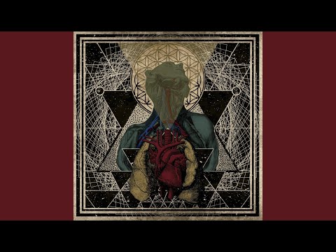 Autocognition of Light