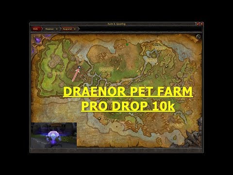 WOW GOLD GUIDE PET FARM 10k IN 5 MIN