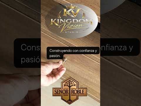 Comercial corto Kingdom Vizion Studios