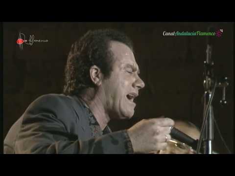 Taranto. Juan Gómez. 1991