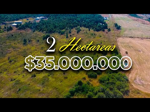 2 Hectareas en Venta - Maullin, Los Lagos