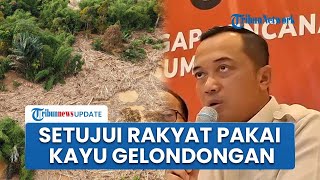 Kata Mensesneg soal Masyarakat Bakal Manfaatkan Kayu Gelondongan: Koordinasi dengan Pemerintah